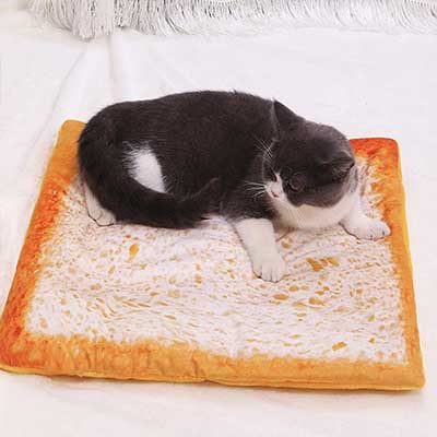 La Ricotona (Para Gatos y Perros) - Imagen 3
